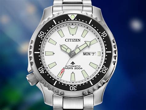 citizen watches official repair